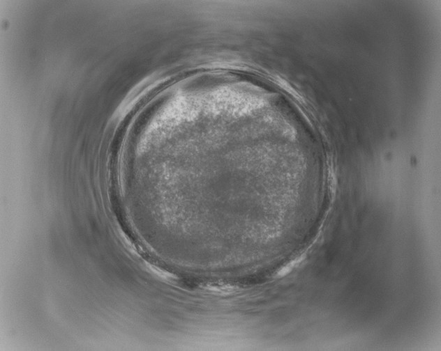 X0000052600199200507221642