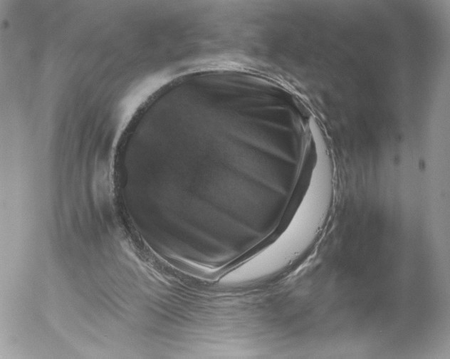 X0000052600200200507221642