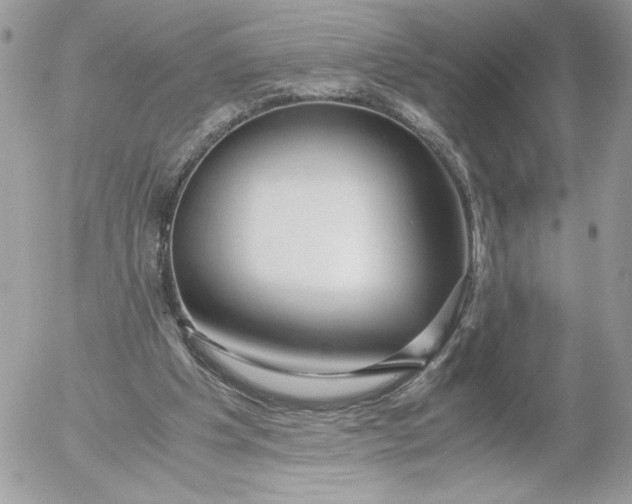 X0000052600201200507221642