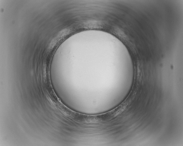 X0000052600202200507221642