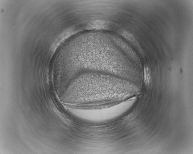 X0000052600204200507221642