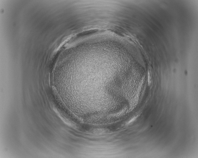 X0000052600205200507221642