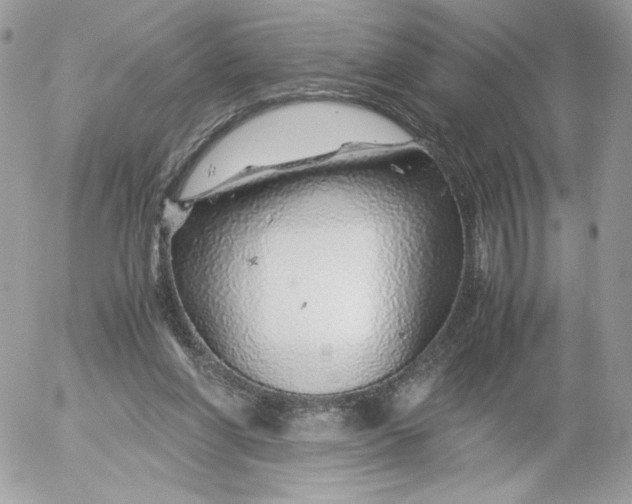 X0000052600206200507221642