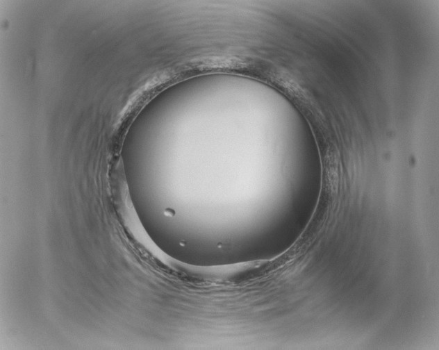 X0000052600207200507221642