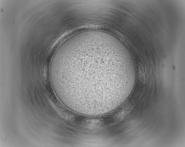 X0000052600208200507221642