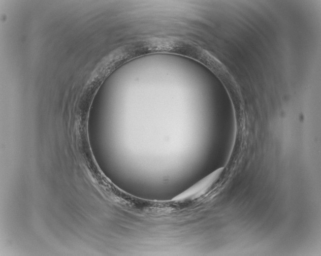 X0000052600209200507221642