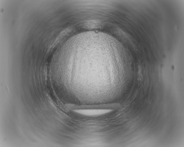 X0000052600210200507221642