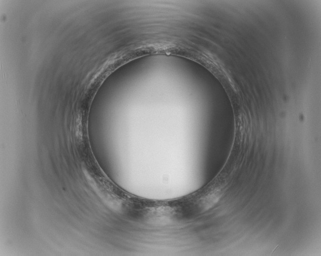 X0000052600212200507221642