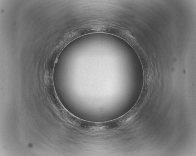 X0000052600213200507221642