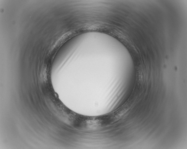 X0000052600216200507221642