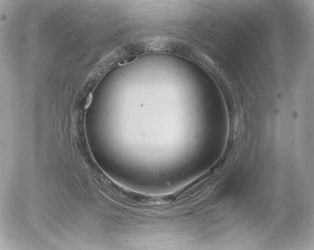 X0000052600217200507221642