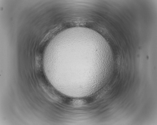 X0000052600218200507221642