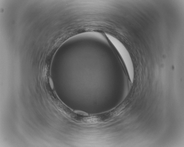 X0000052600219200507221642