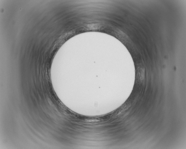 X0000052600220200507221642