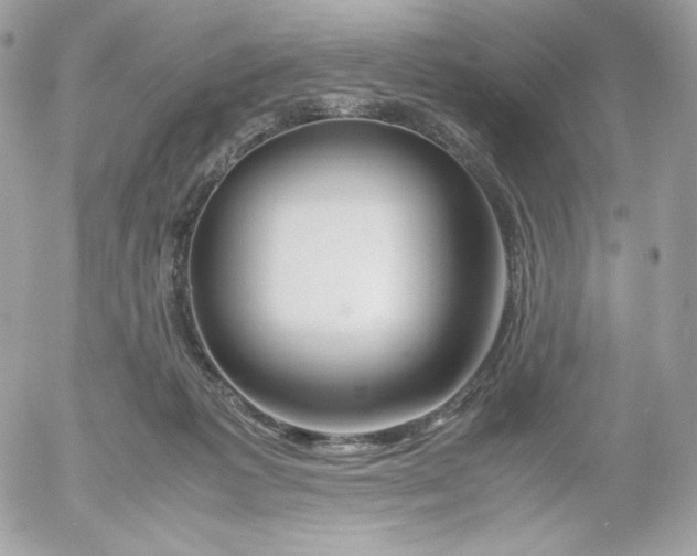 X0000052600221200507221642