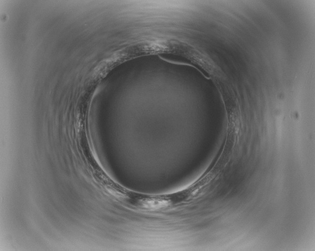 X0000052600223200507221642