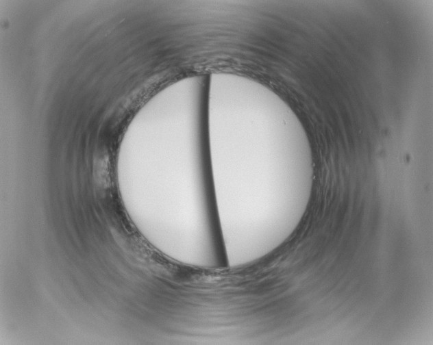 X0000052600224200507221642