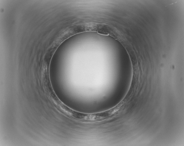 X0000052600225200507221642