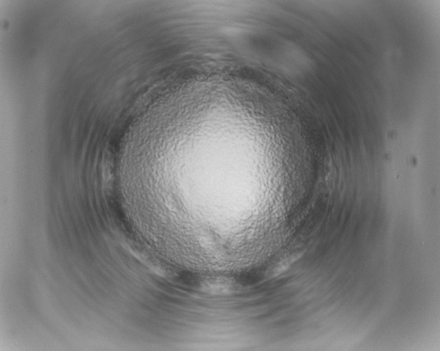 X0000052600226200507221642