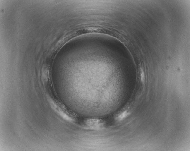 X0000052600227200507221642