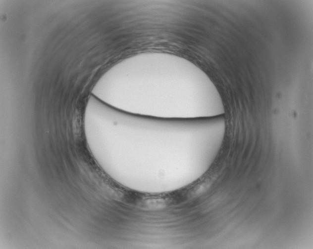 X0000052600228200507221642