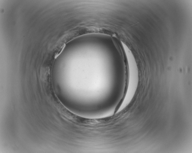 X0000052600229200507221642