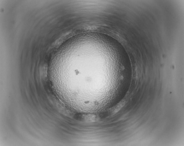 X0000052600230200507221642