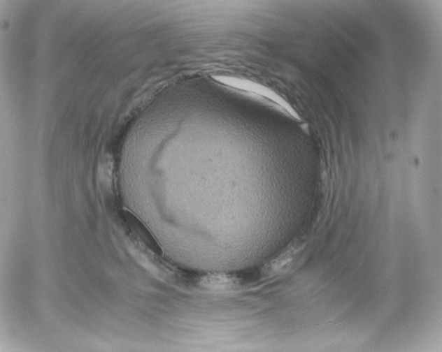 X0000052600231200507221642