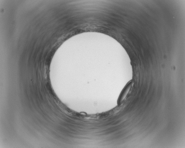 X0000052600232200507221642