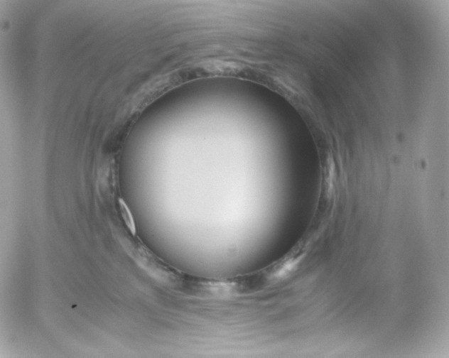 X0000052600233200507221642