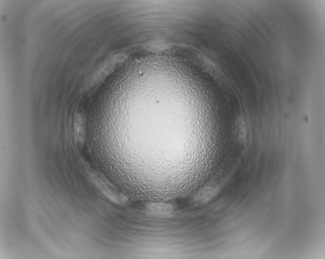 X0000052600234200507221642