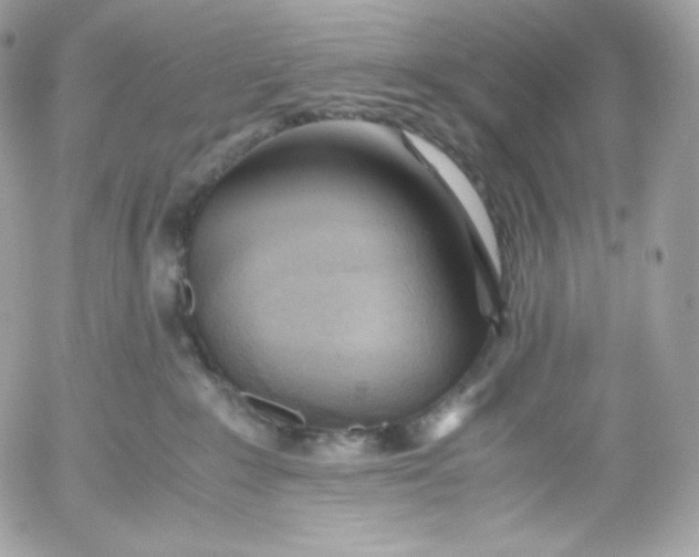 X0000052600235200507221642