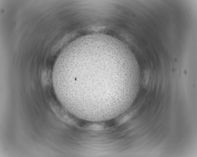 X0000052600236200507221642