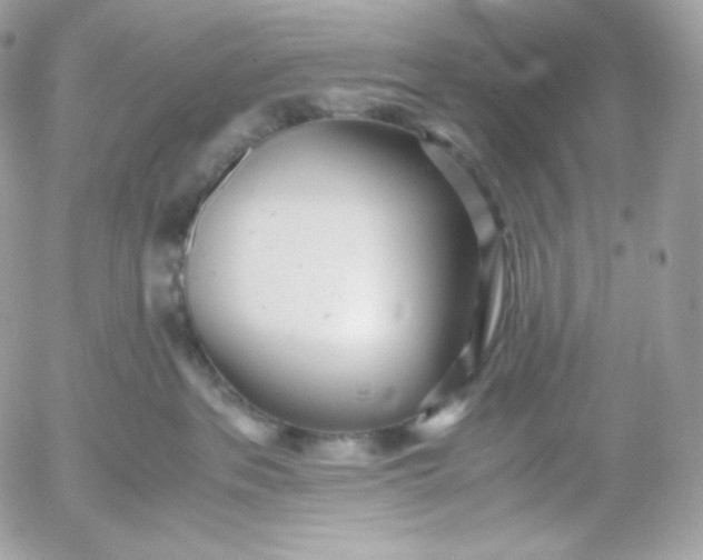 X0000052600237200507221642