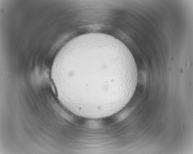 X0000052600238200507221642