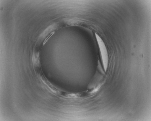 X0000052600239200507221642