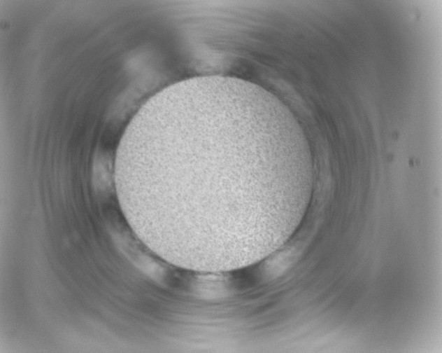 X0000052600240200507221642