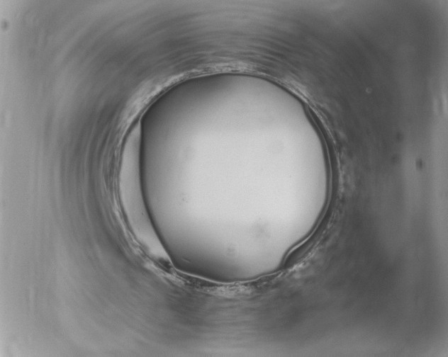 X0000052600241200507221641