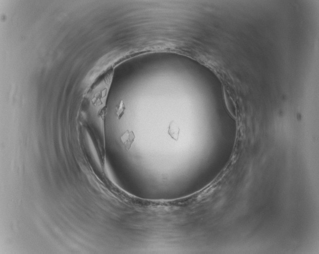 X0000052600242200507221641