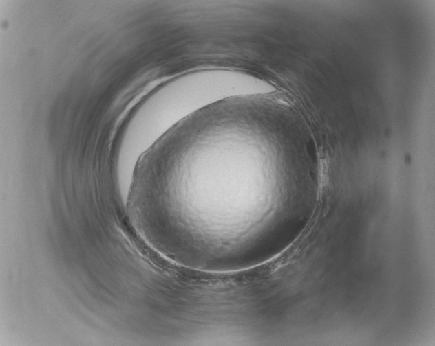 X0000052600243200507221641