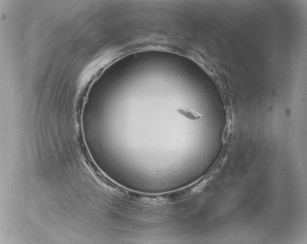 X0000052600245200507221641