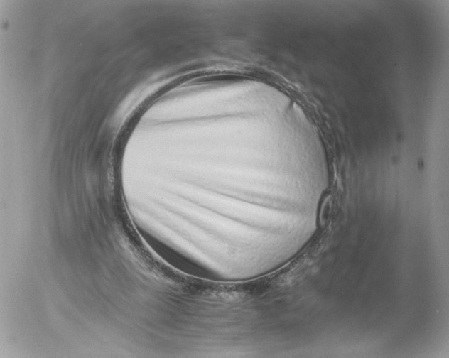 X0000052600247200507221641