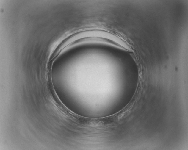 X0000052600248200507221641