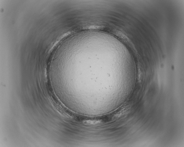 X0000052600251200507221641