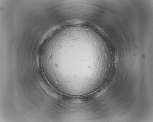 X0000052600254200507221641