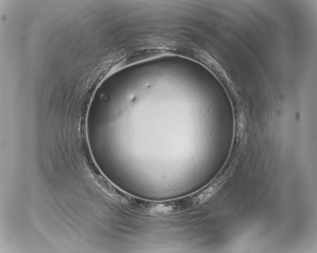 X0000052600257200507221641