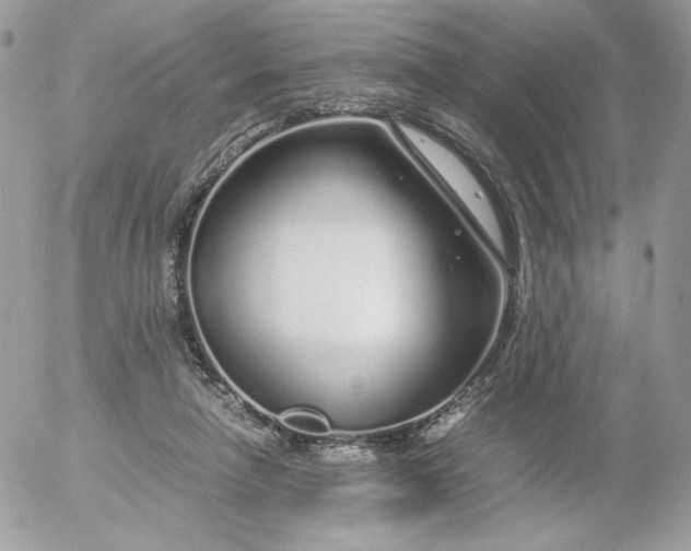 X0000052600258200507221641