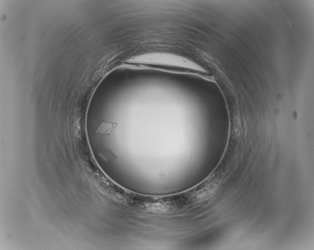 X0000052600259200507221641