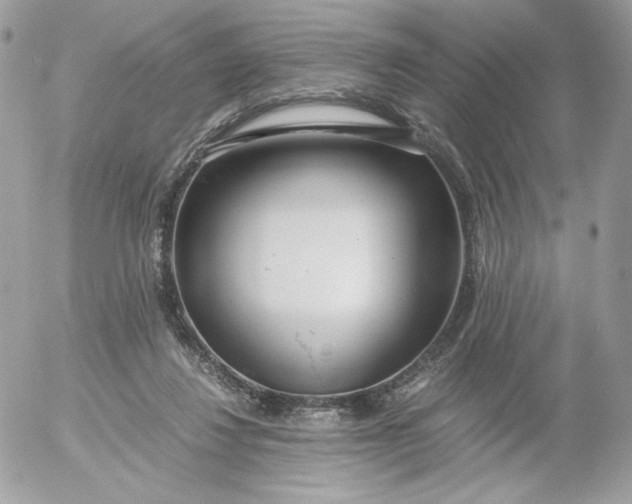 X0000052600260200507221641