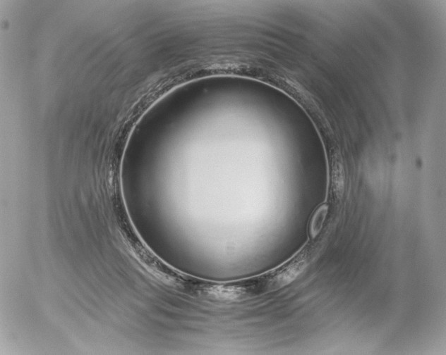 X0000052600261200507221641